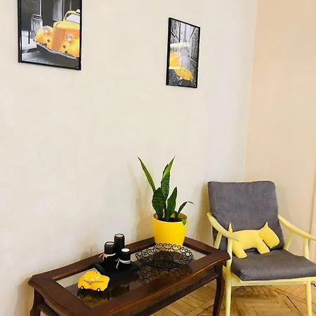 Sunflower Near Airport & Railway Station & Center City! Apartment *